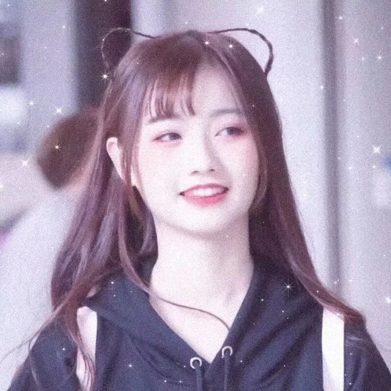 玫瑰